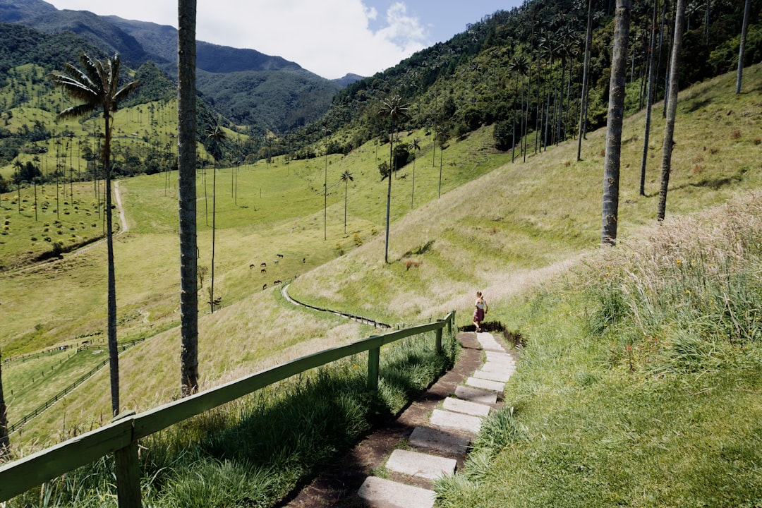 Honduras. kgm เดอ Cocora อยู่ในโคลัมเบีย - Salento | Secret World Trip Planner