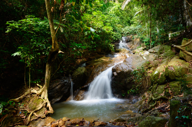Kathu-vandfald - Kathu | Secret World Trip Planner