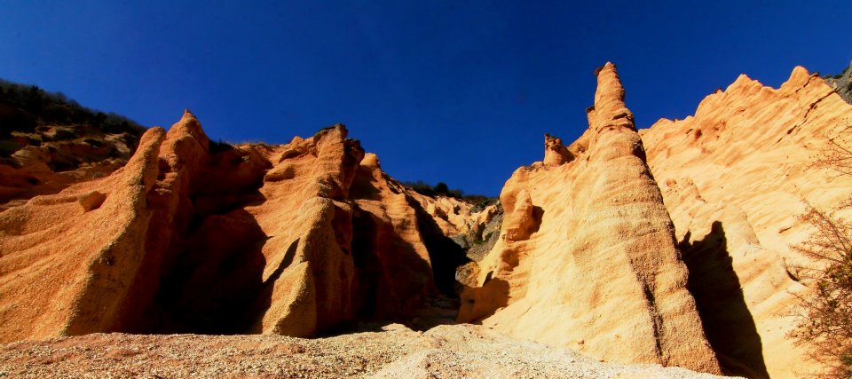 Röda blad av Fiastra