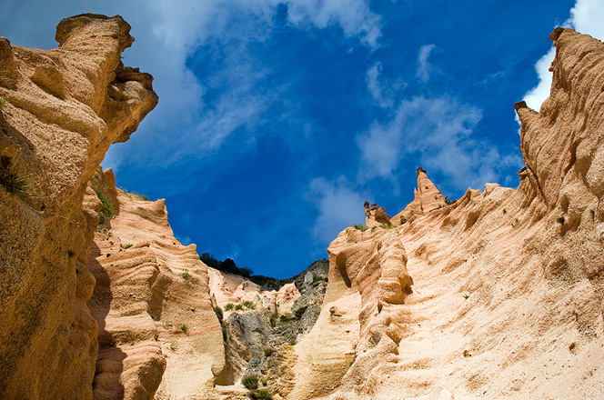 Röda blad av Fiastra
