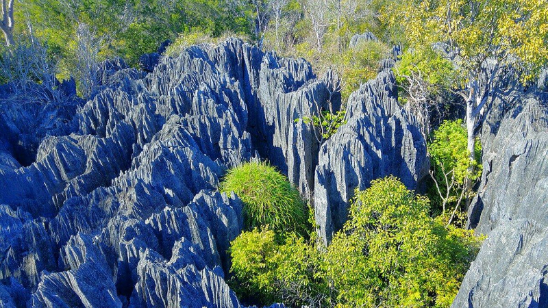 Parque Nacional Tsingy de Bemaraha, Madagáscar | Secret World Trip Planner