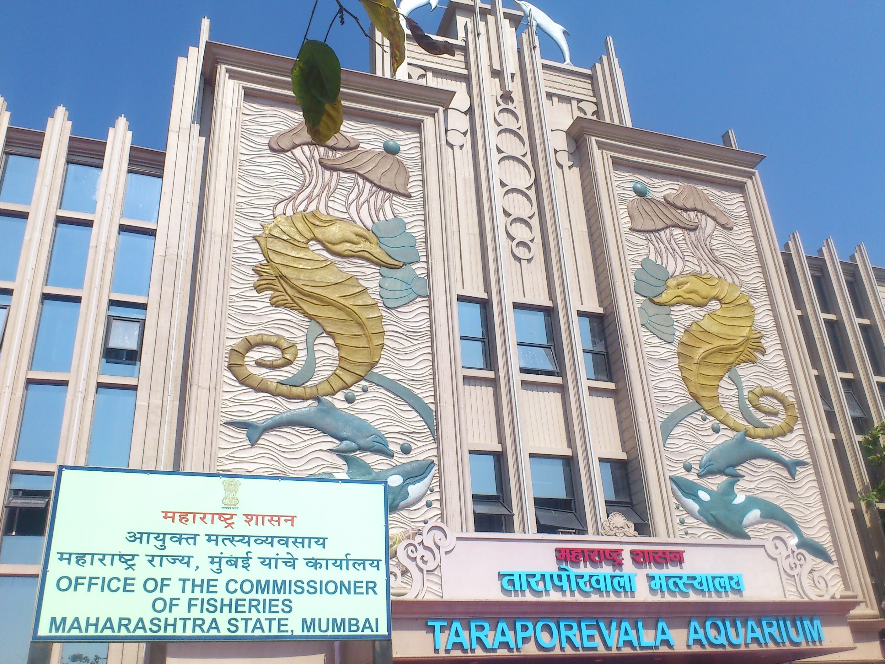 Taraporewala Akvariumas, seniausias Indijos akvariumas - Mumbai | Secret World Trip Planner