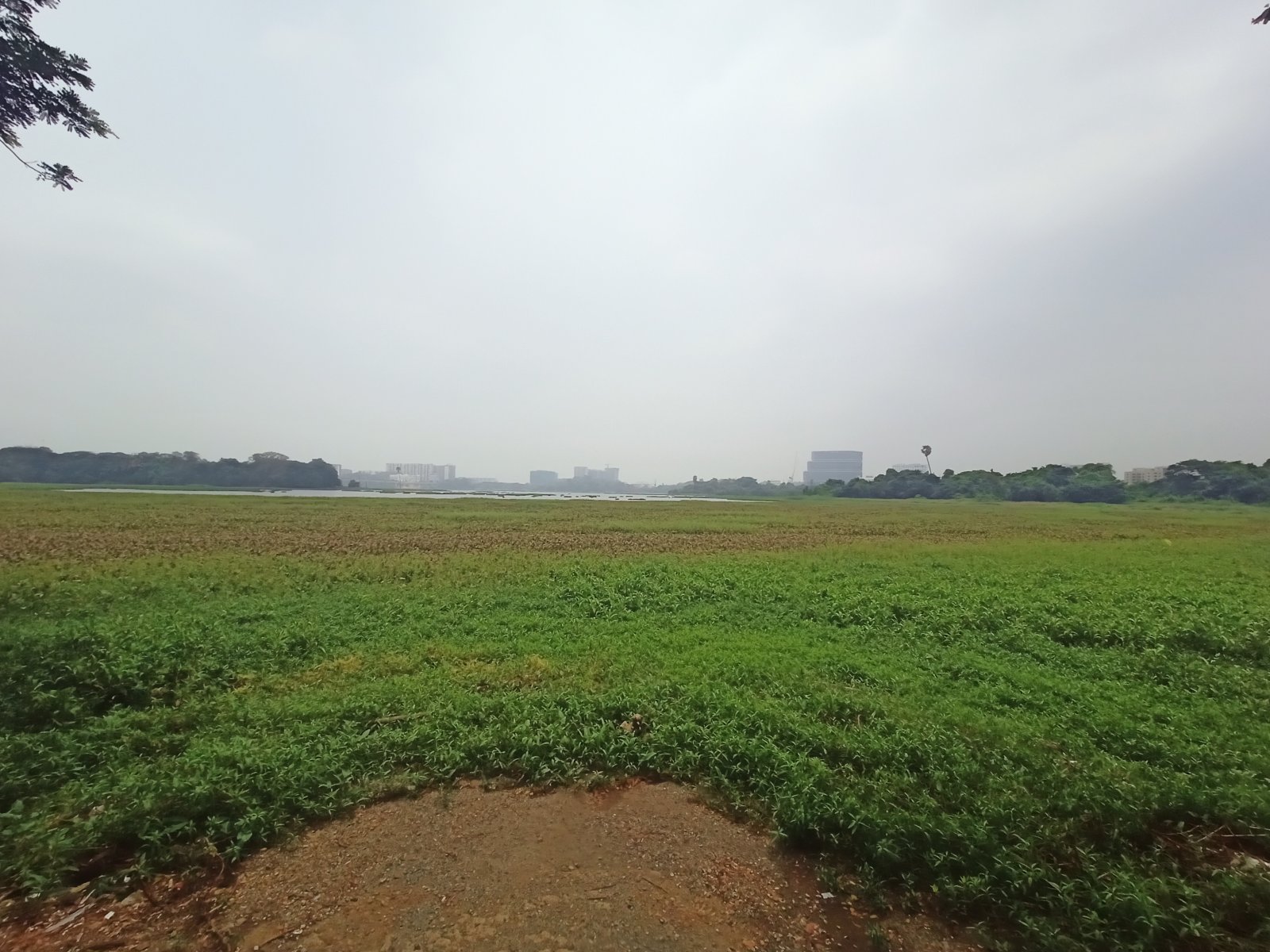 Powai Lake Þar til að gleyma óreiðu af daglegu lífi - Mumbai | Secret World Trip Planner