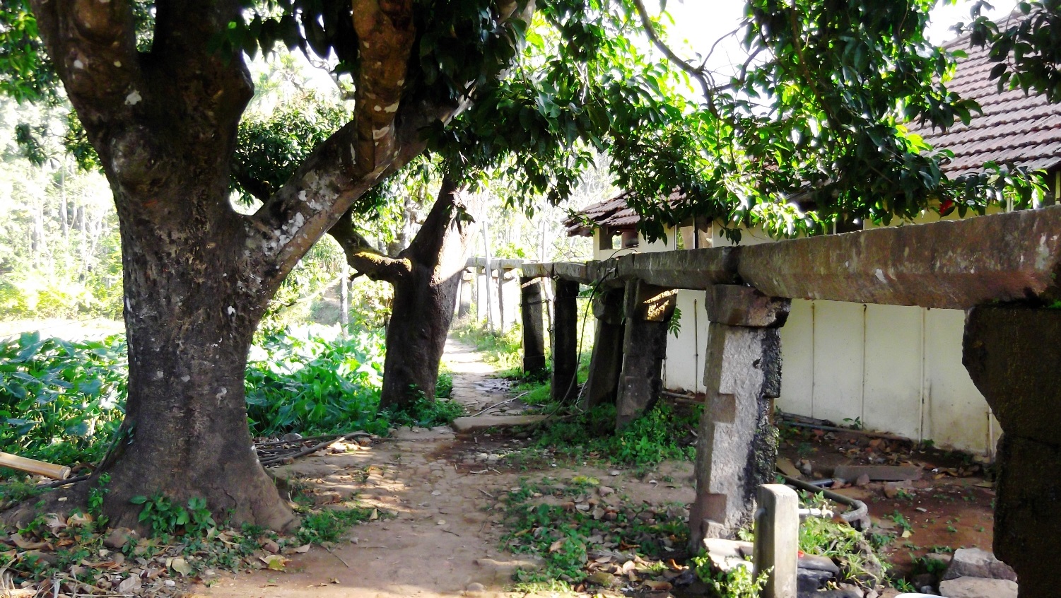 Sree Thirunelli Mahavishnu寺 - Thirunelly | Secret World Trip Planner