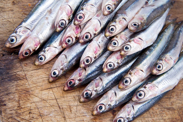 Anchovies of Monterosso - Monterosso al Mare | Secret World Trip Planner