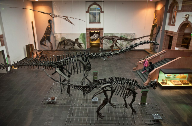 Museu de História Natural - Frankfurt am Main | Secret World Trip Planner