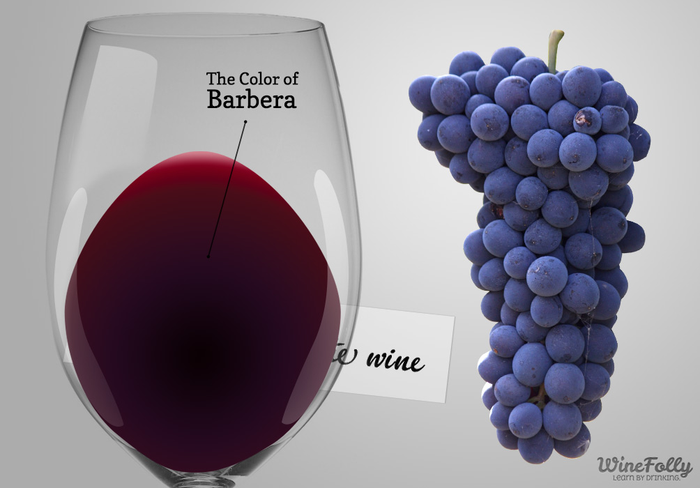Världens bästa viner | Barbera d'Alba doc
