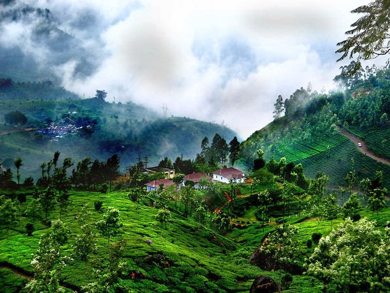 Coorg Индия