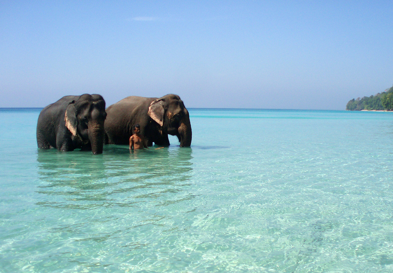 インドのエレファンタビーチ - Isole Andamane e Nicobare 744211 | Secret World Trip Planner