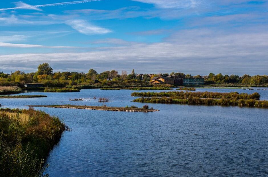 伦敦湿地中心：观鸟者的天堂 - Londra | Secret World Trip Planner