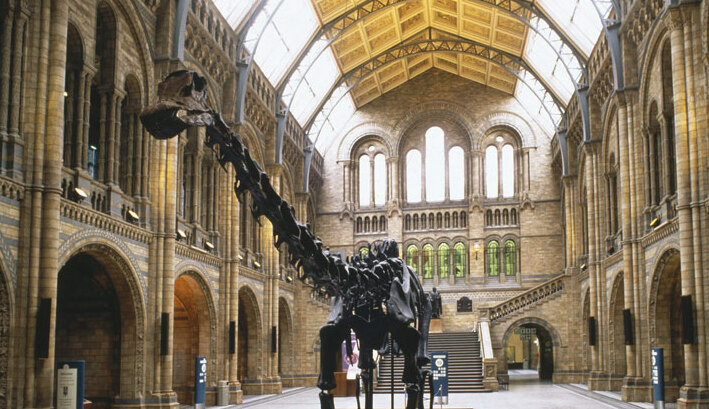The Natural History Museum in London - Londra | Secret World Trip Planner