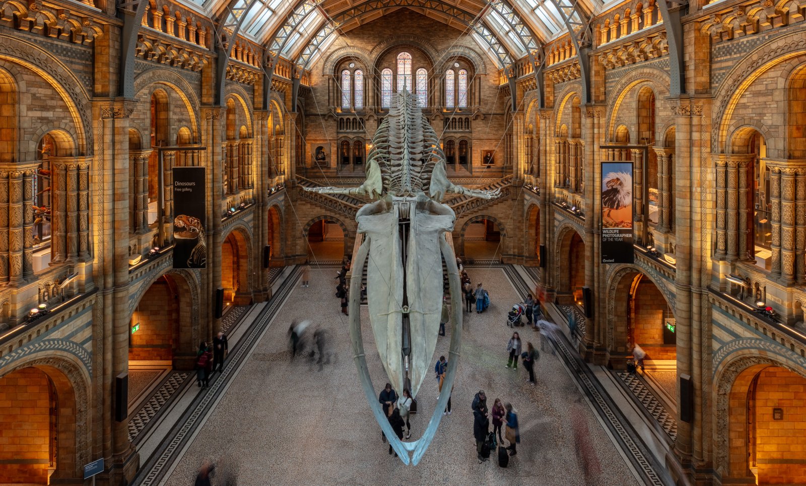 The Natural History Museum in London - Londra | Secret World Trip Planner