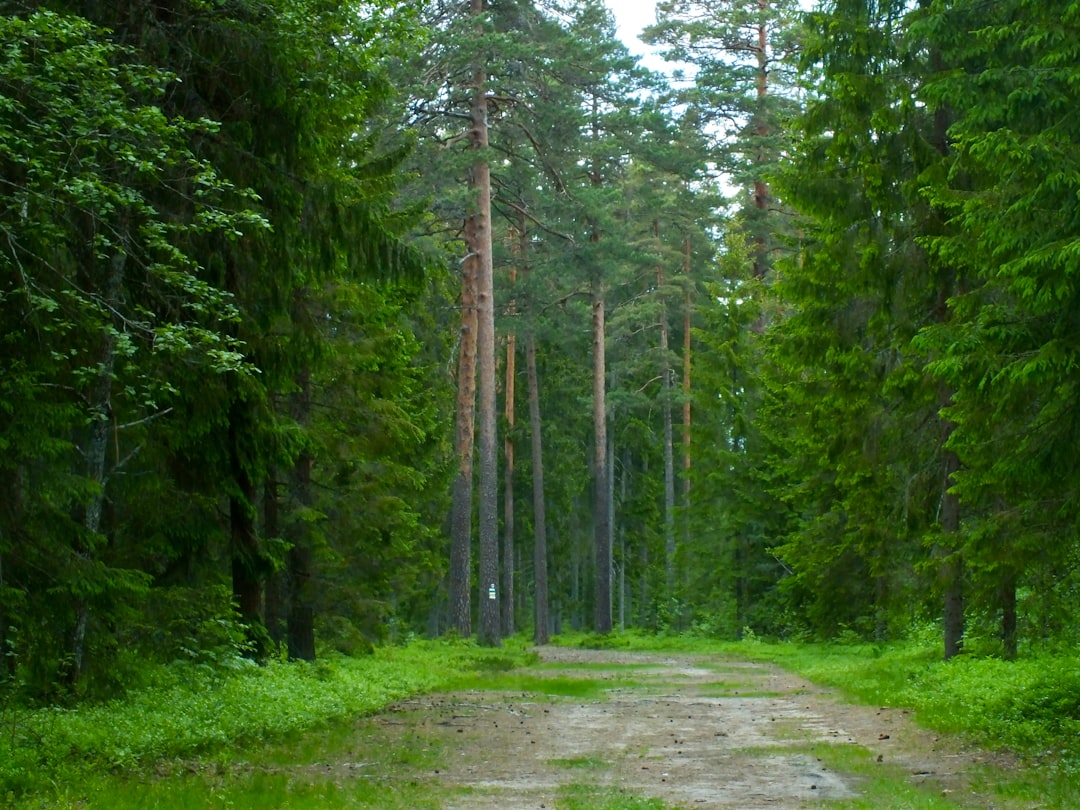 Nacionalni Park Kursu Nirija - Alksnynės g. | Secret World Trip Planner