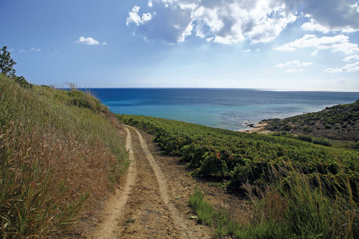 Memphis... matahari, laut, sejarah dan makanan dan wain