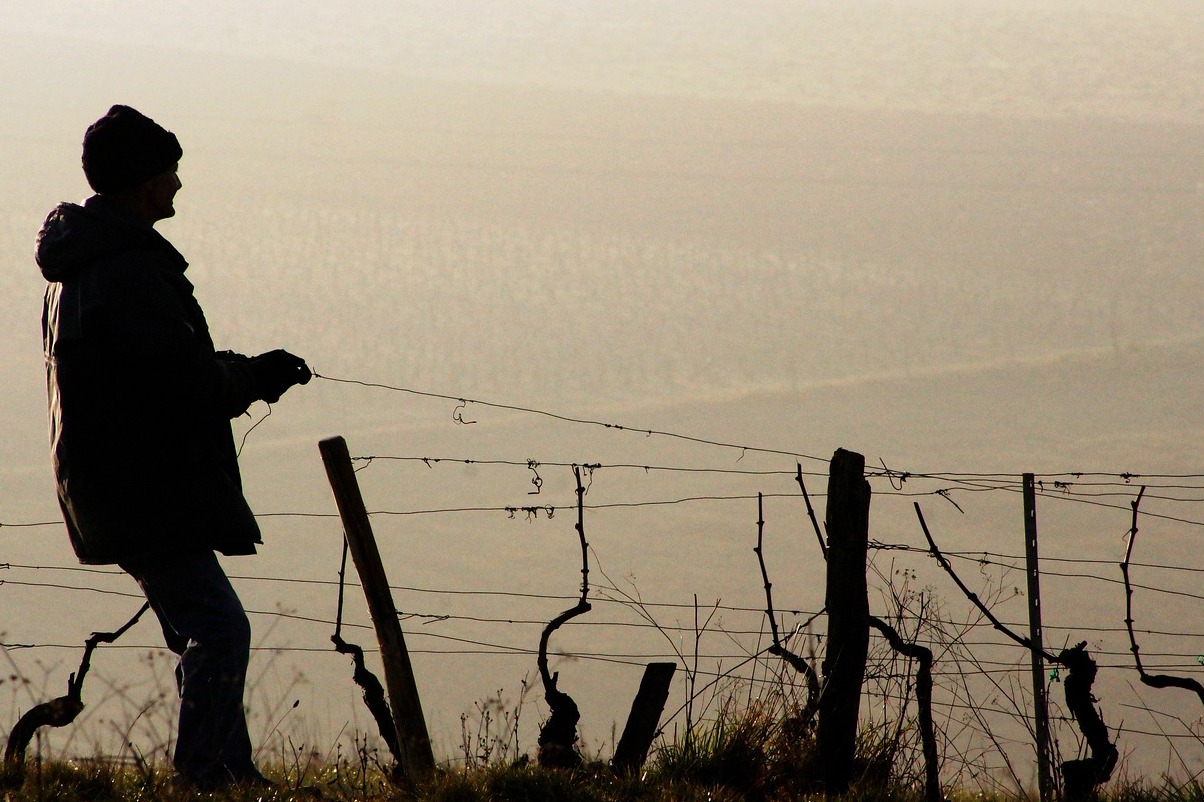 Francuska oblast Alsace vina - Alsazia | Secret World Trip Planner