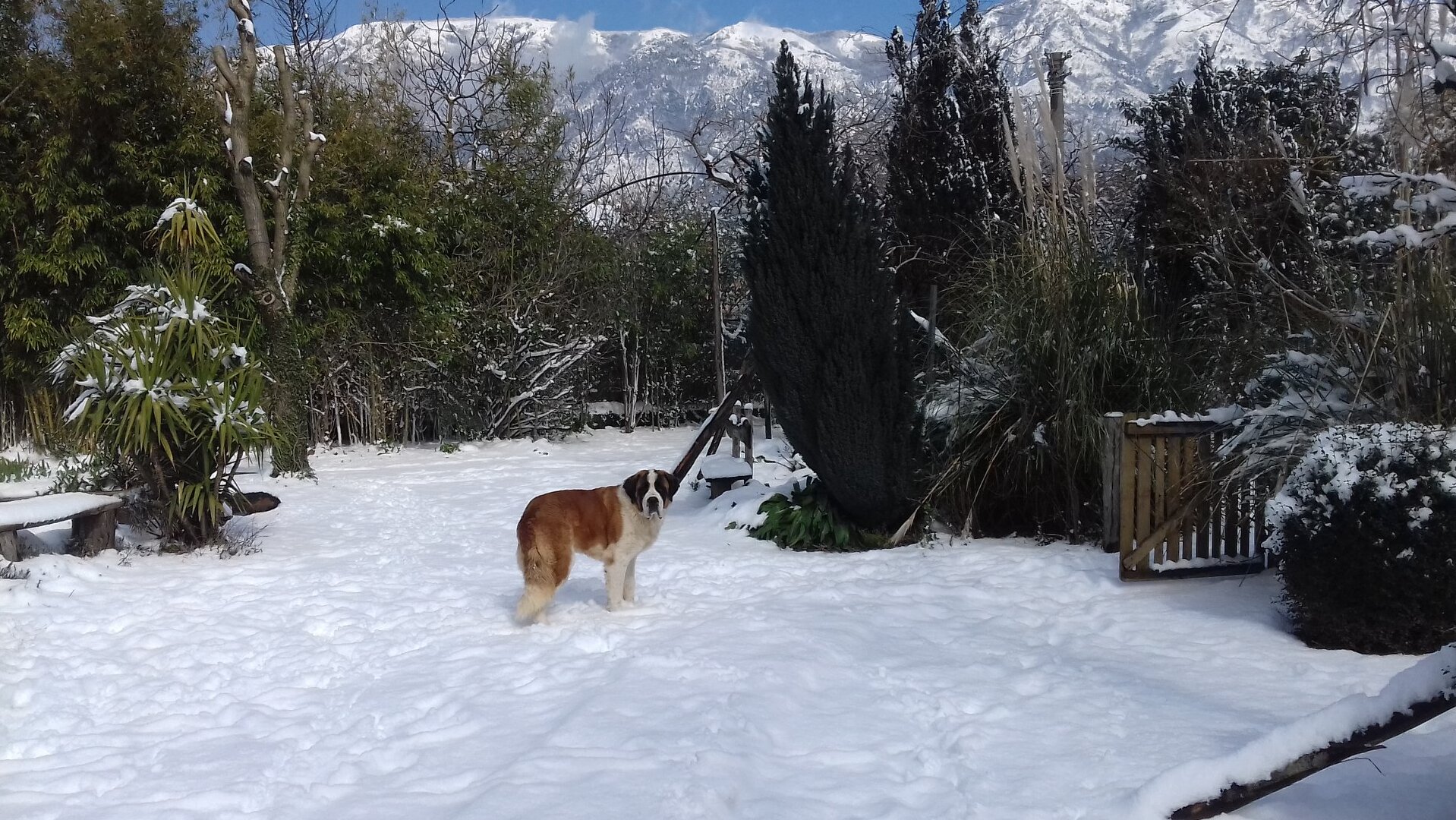 Siri Bustani ya Airola - Airola | Secret World Trip Planner