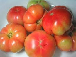 POmodori di Sorrento - Sorrento | Secret World Trip Planner