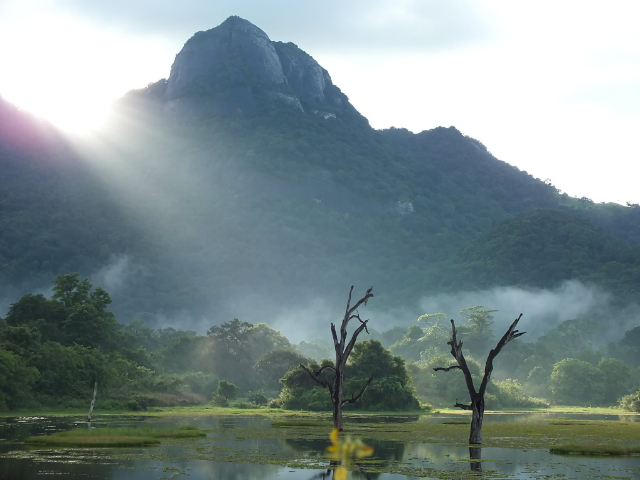 Gal Oya အမျိုးသားဥယျာဉ် - Henebadda | Secret World Trip Planner