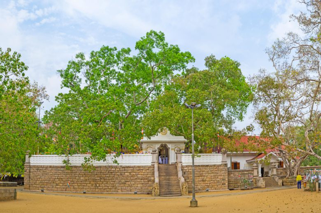 Jaya Shri Maha Bodxi - Distretto di Anuradhapura | Secret World Trip Planner
