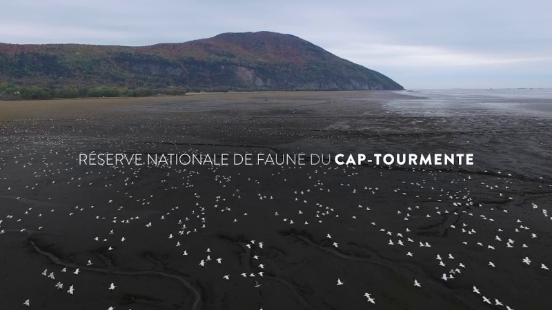 Area Margasatwa Nasional Cap Tourmente - Saint-Joachim | Secret World Trip Planner