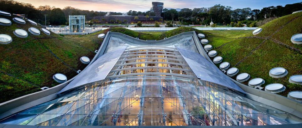 加州科学院在旧金山 - San Francisco | Secret World Trip Planner