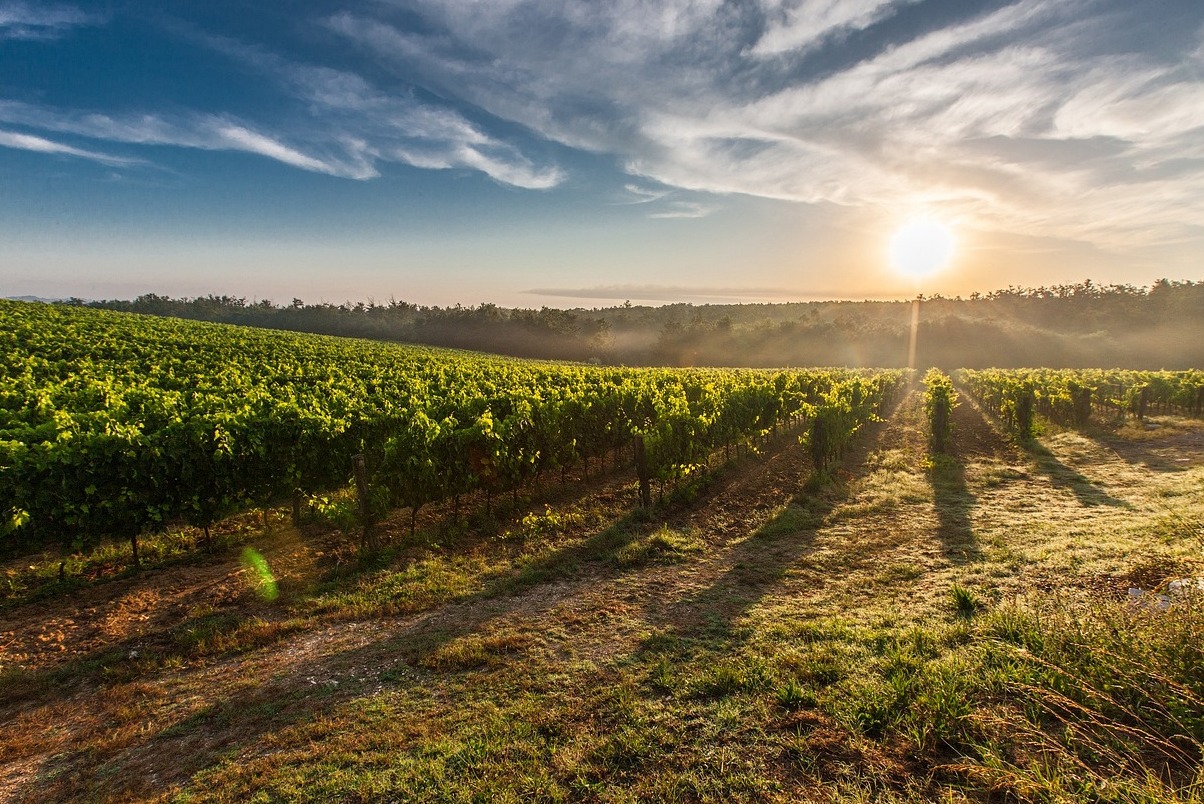 Beaulieu Fhíonghoirt - Napa | Secret World Trip Planner