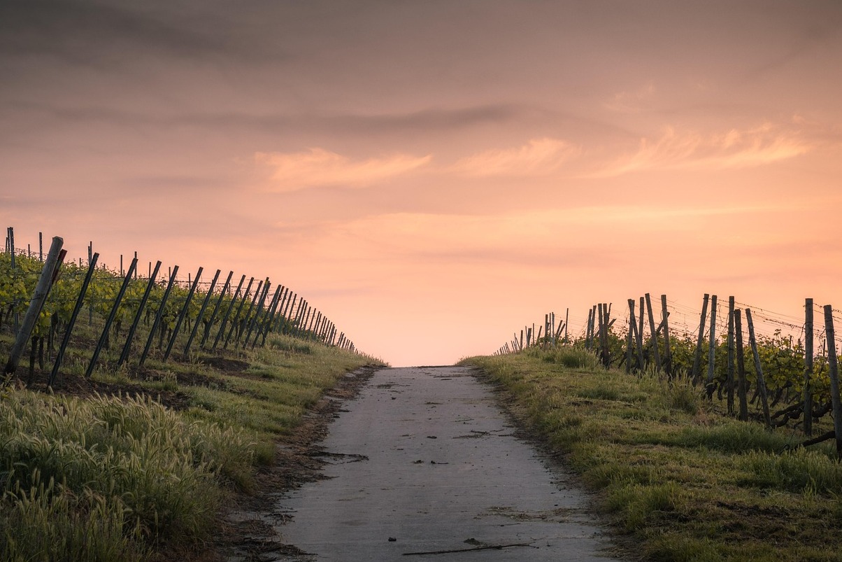 Beaulieu Fhíonghoirt - Napa | Secret World Trip Planner