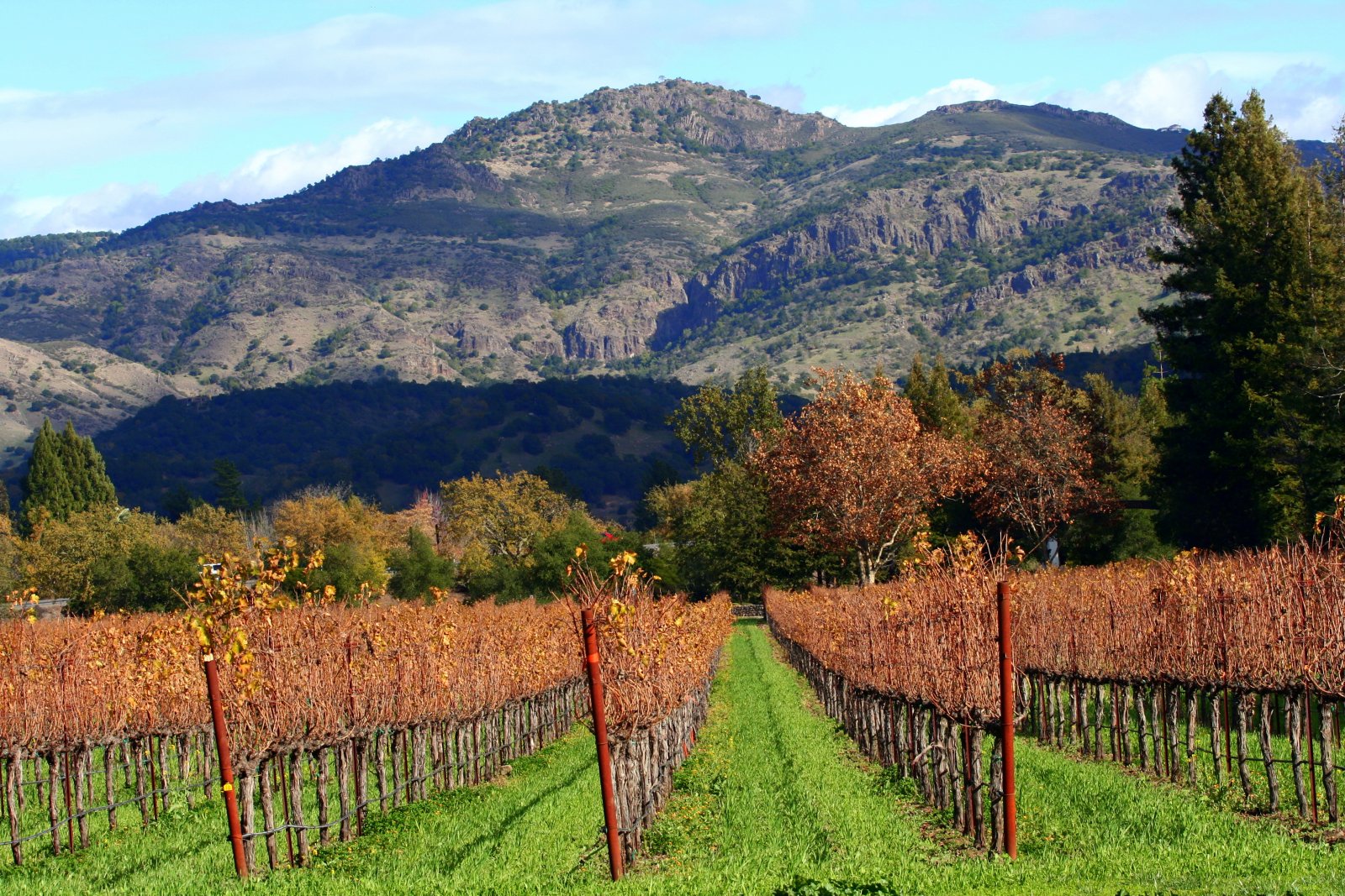 Napa Valley: Bhfíonghort Beringer - Saint Helena | Secret World Trip Planner