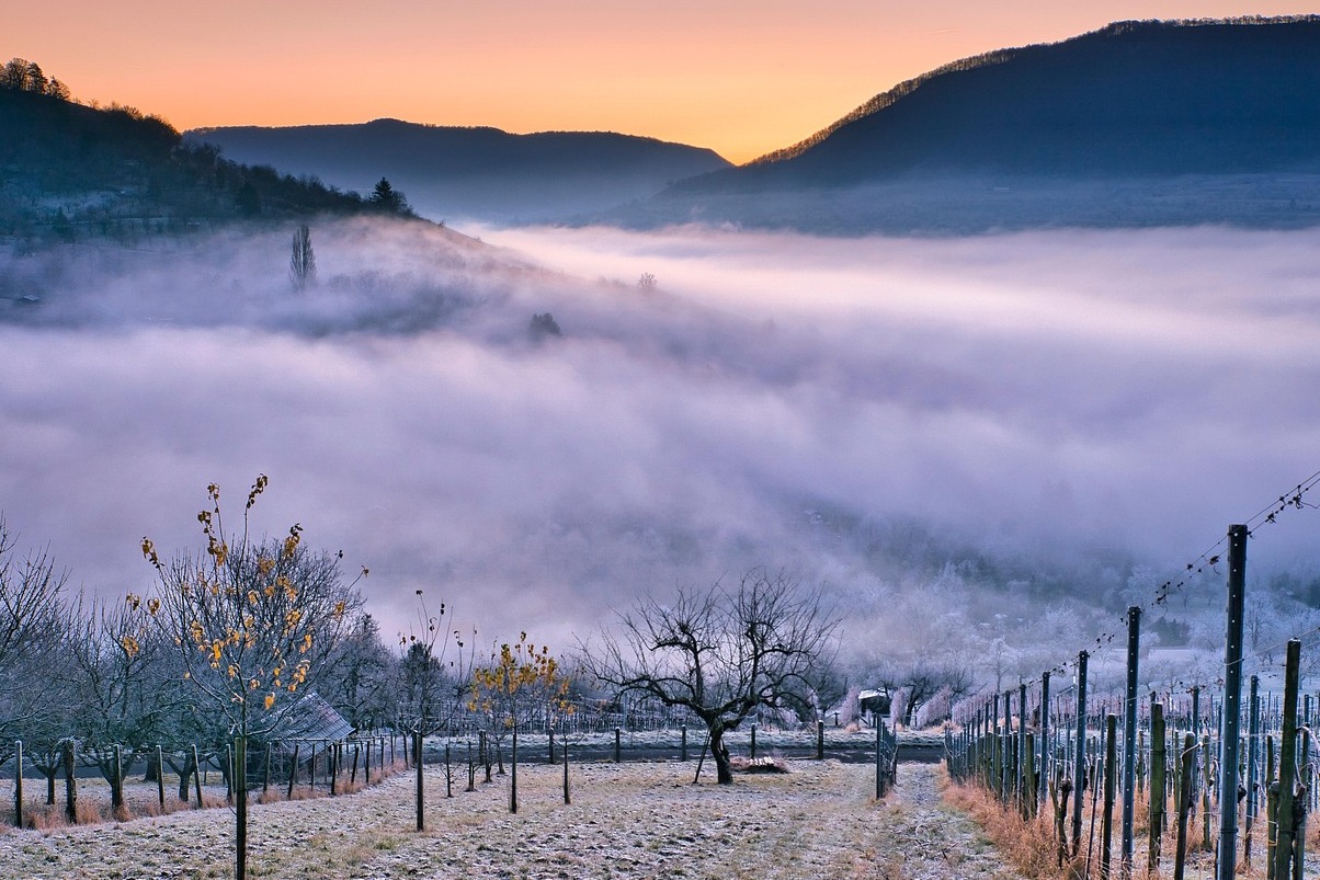 Schramsberg les Vinyes. Vall De Napa - Calistoga | Secret World Trip Planner
