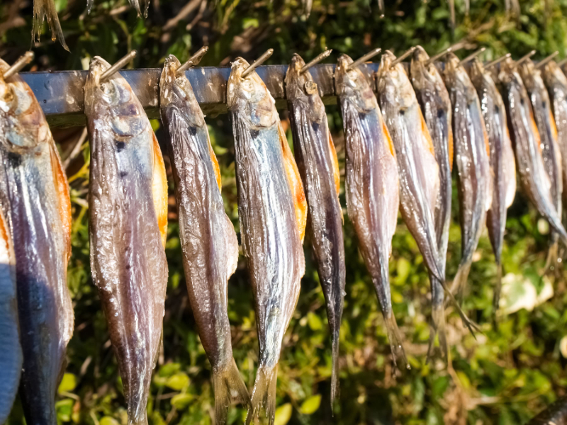 Missoltini fra Comosøen - Domaso | Secret World Trip Planner