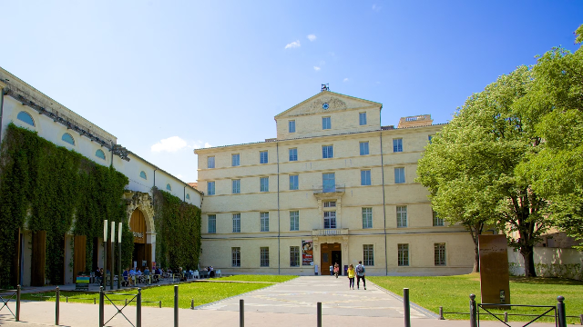 ಮ್ಯೂಸಿಯೊ ಫ್ಯಾಬ್ರೆ - Montpellier | Secret World Trip Planner