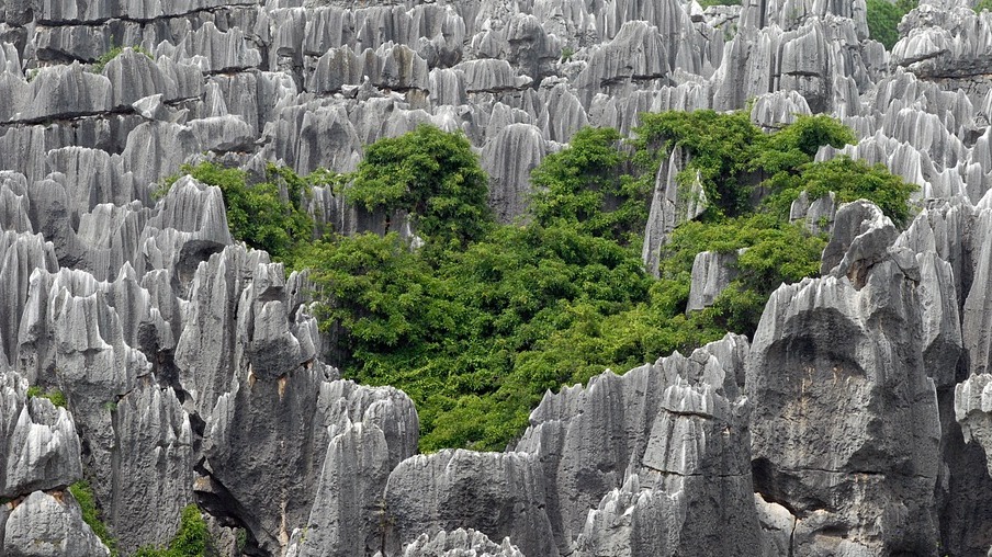 Kamienny Las, Niezapomniany Cud | Secret World Trip Planner