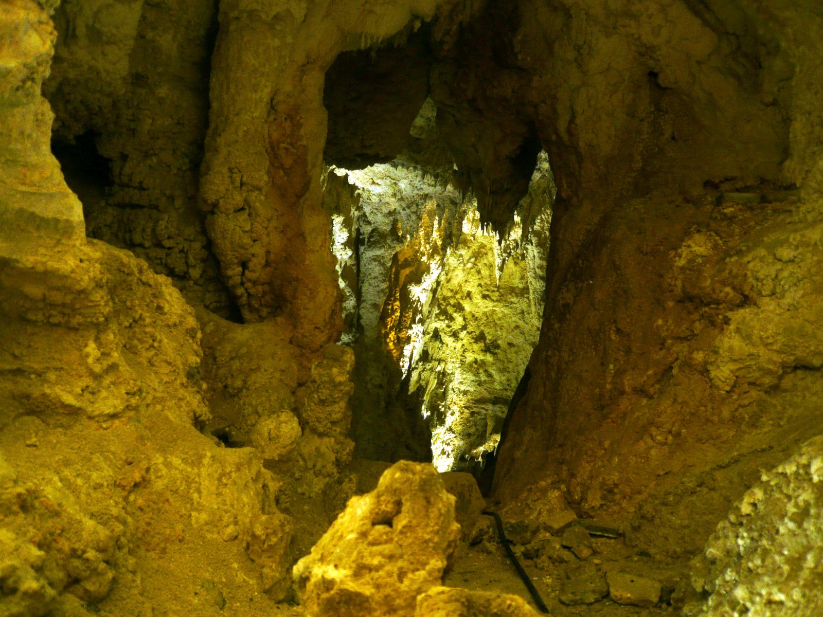 Cavernas de Waitomo, um céu estrelado na caverna - Waitomo | Secret World Trip Planner