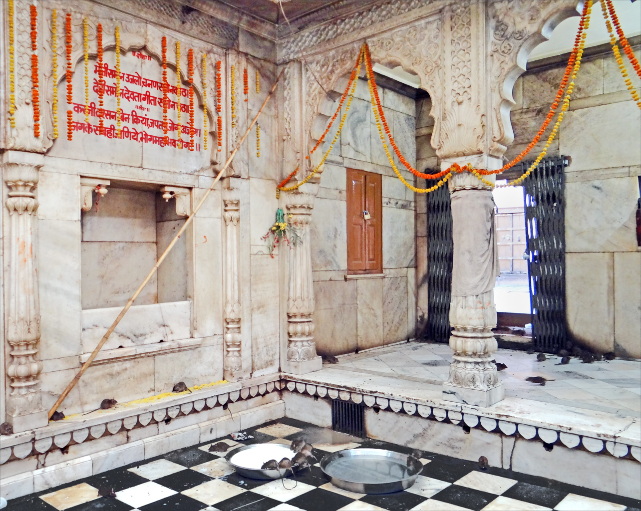 Ing Karni Mata Candhi, Candhi Lengkap Saka Clurut  - Deshnok | Secret World Trip Planner