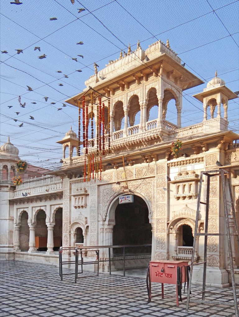 Ing Karni Mata Candhi, Candhi Lengkap Saka Clurut  - Deshnok | Secret World Trip Planner