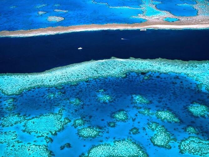 Lielais Barjerrifs / Austrālija - Grande barriera corallina | Secret World Trip Planner