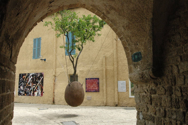 Viseče pomarančevo drevo - Tel Aviv-Yafo | Secret World Trip Planner