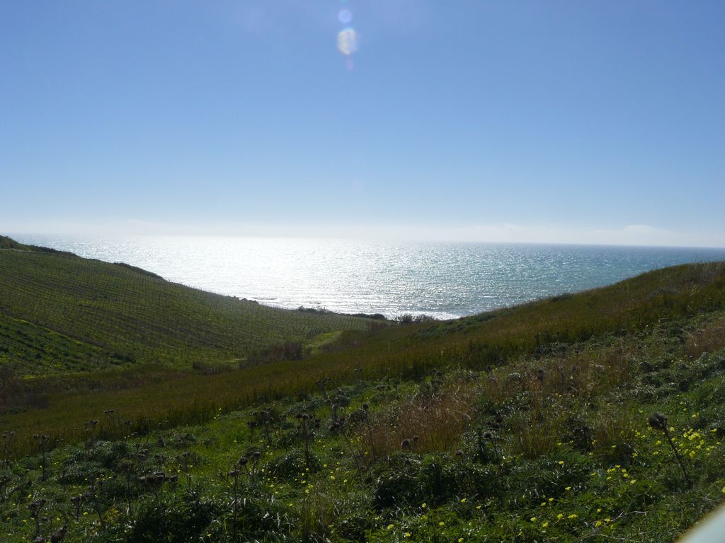 Menfi... Sonne, Meer, Geschichte, Essen  ...