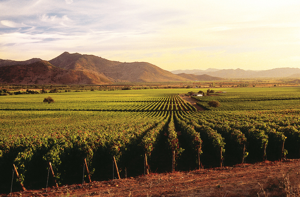 Colchagua Valley, in central Chile - San Fernando | Secret World Trip Planner