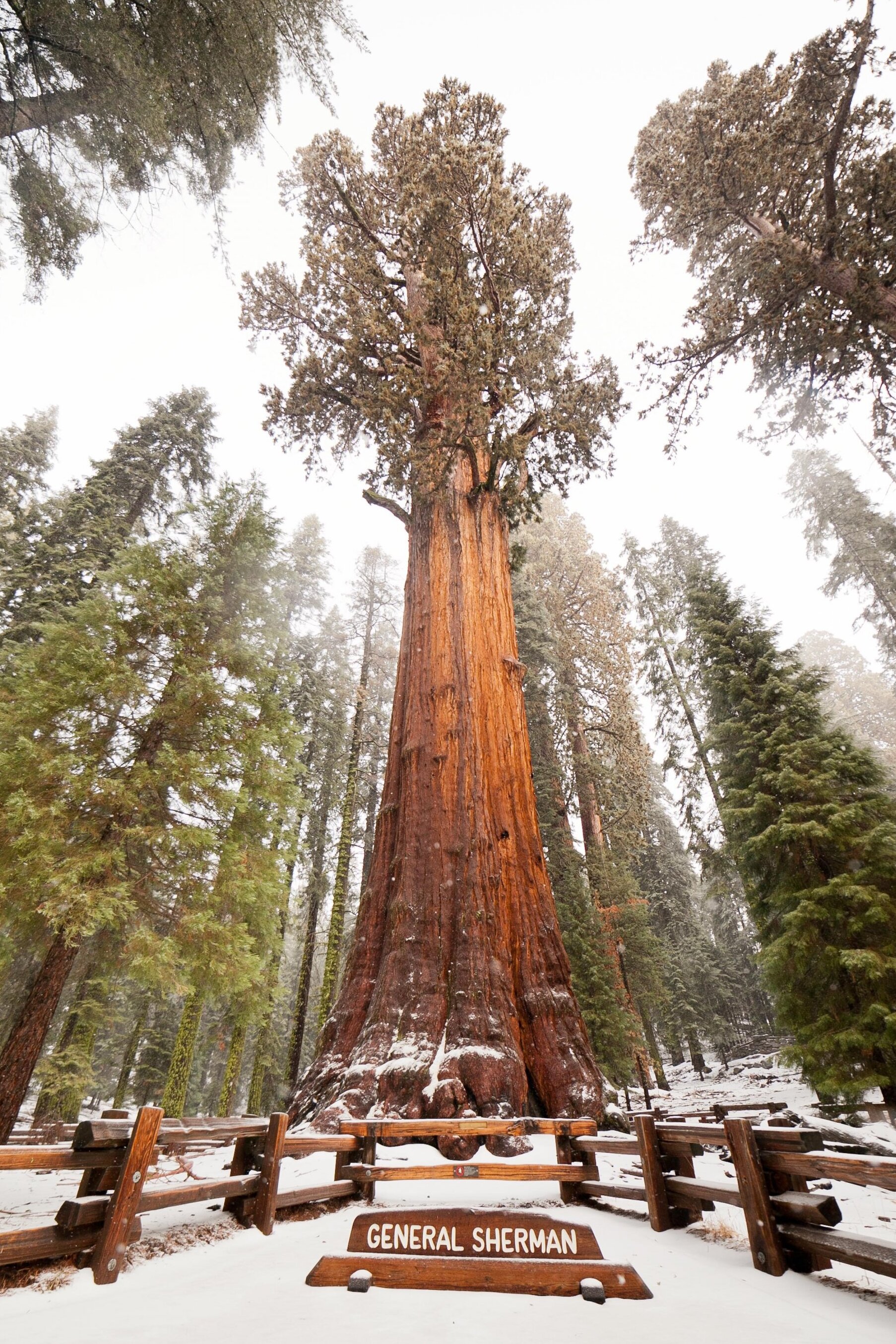 Anu-ano ang mga salik na dapat tingnan sa paghahati-hati ng kontinente tungo sa mga rehiyon? - Three Rivers | Secret World Trip Planner