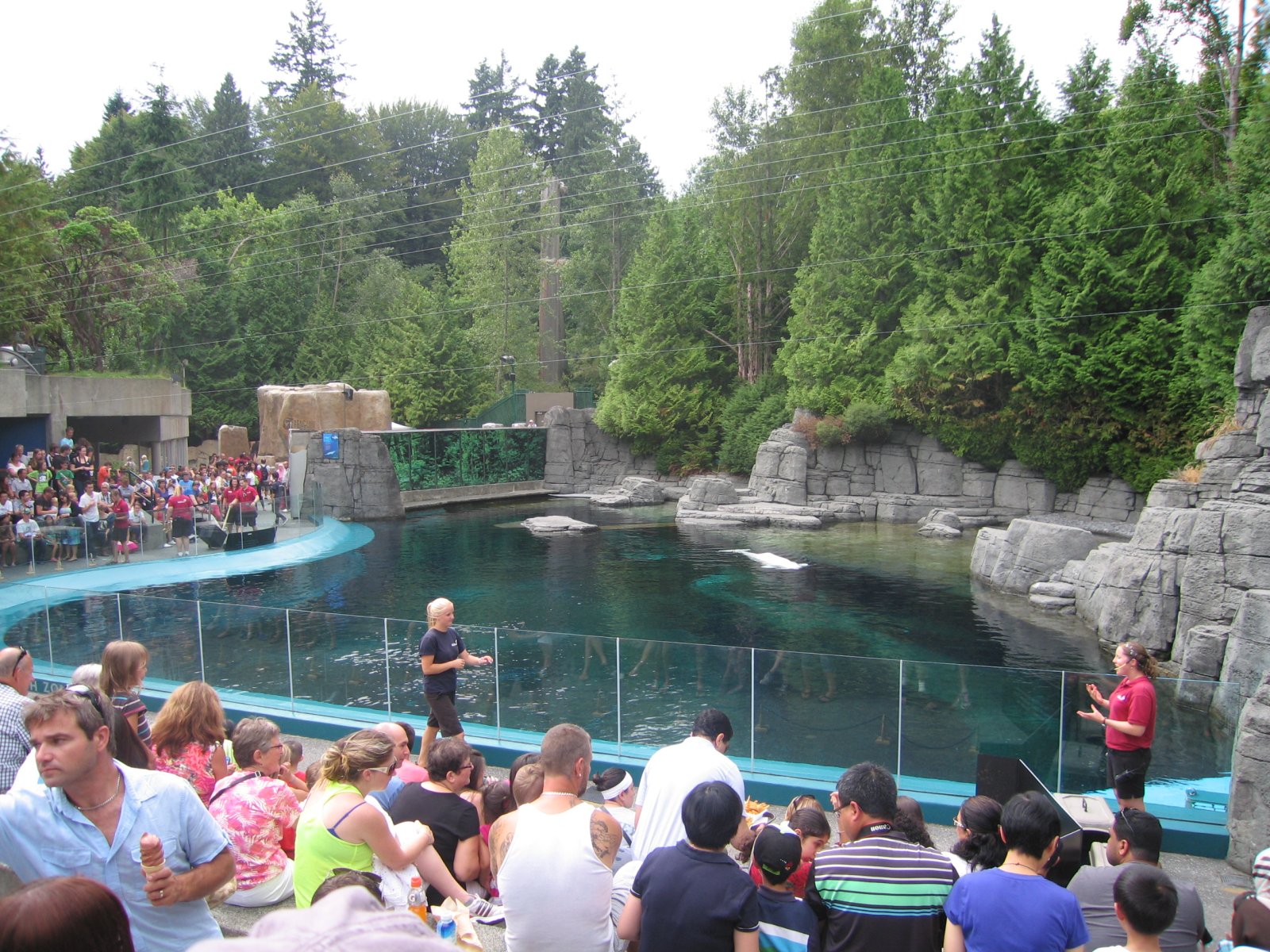 The Vancouver Aquarium - Vancouver | Secret World Trip Planner