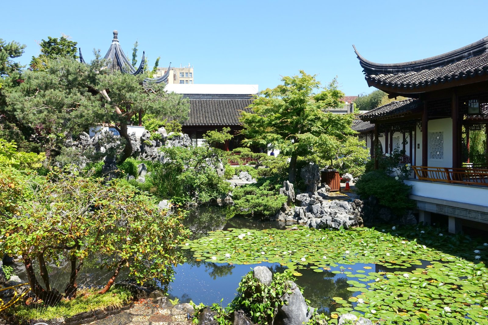 Canada: Dr. Sun Yat-Sen Classical Chinese Garden - Vancouver | Secret World Trip Planner