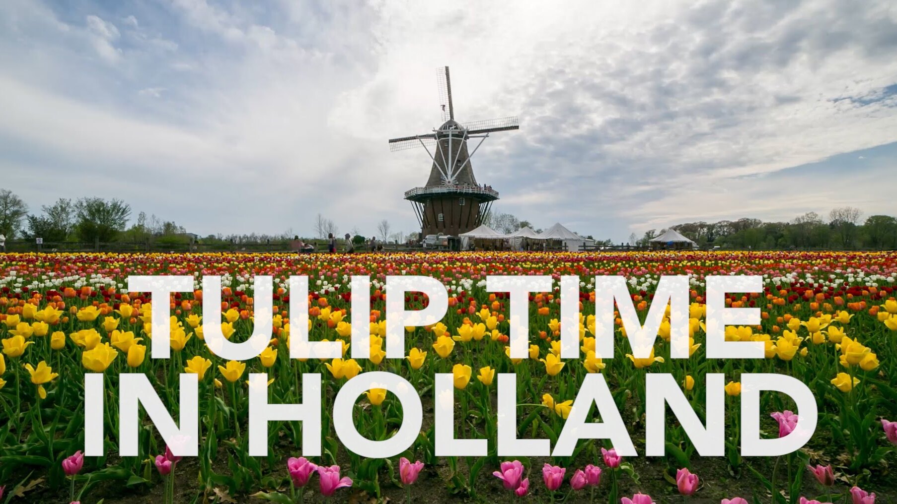Festival del tiempo de los tulipanes en Holanda, Michigana - Holland | Secret World Trip Planner