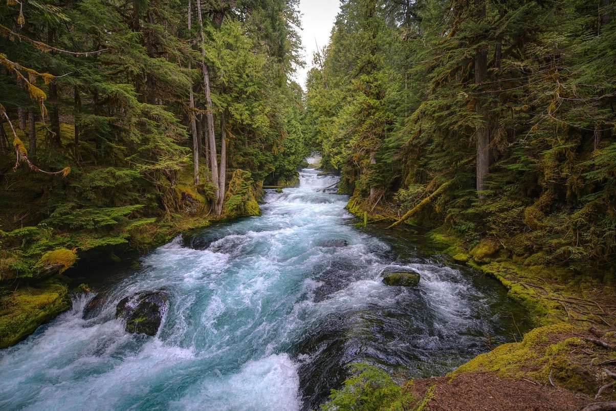 A majestade da Costa do Oregon - Warrenton | Secret World Trip Planner