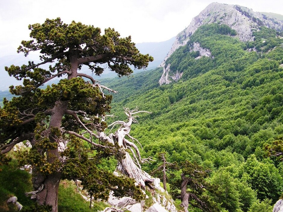 Terranova eta ikusgarria National Park pollino beste - Terranova di Pollino | Secret World Trip Planner