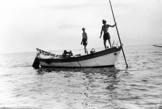 พิพิธภัณฑ์เปลือกหอยและทะเล - Viserbella | Secret World Trip Planner