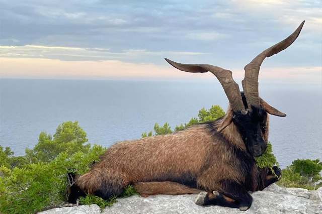 L'art intemporel de la chasse Un voyage au cœur de la nature en Croatie - 23445 | Secret World Trip Planner