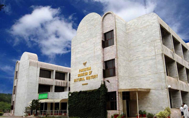 Il Museo pakistano di storia naturale (PMNH) - Islamabad | Secret World Trip Planner
