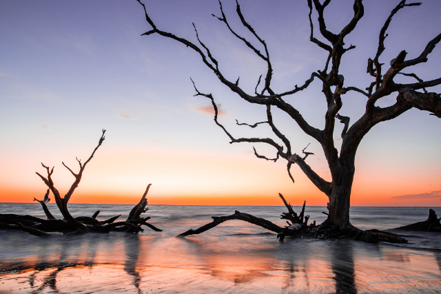 Isola Jekyll - Jekyll Island | Secret World Trip Planner