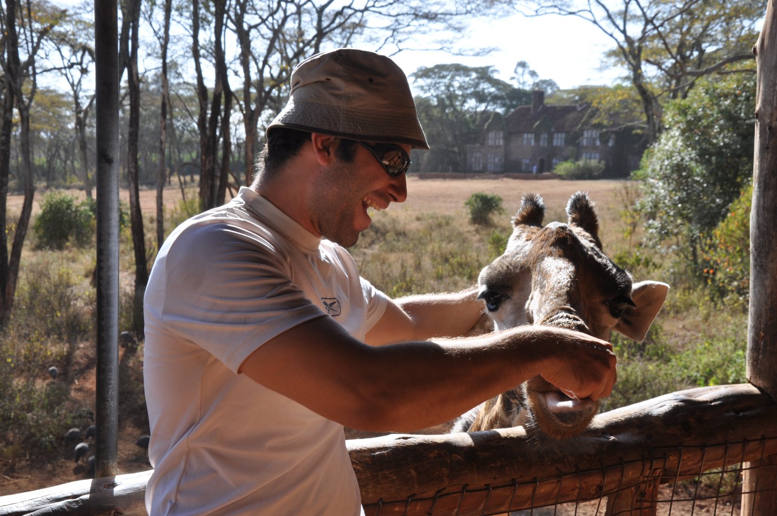 Centrum żyrafy w Nairobi - Nairobi | Secret World Trip Planner